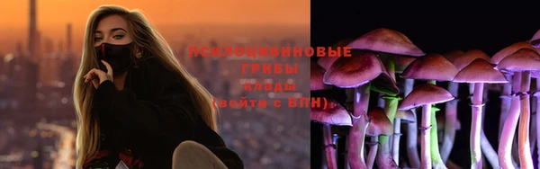 спайс Снежногорск