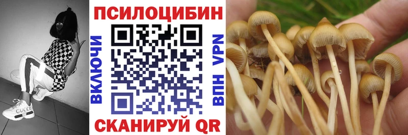 Псилоцибиновые грибы MAGIC MUSHROOMS  darknet как зайти  Ярославль 